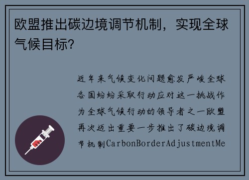 欧盟推出碳边境调节机制，实现全球气候目标？